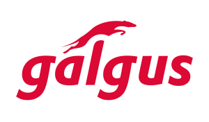 Galgus